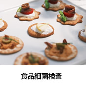 食品細菌検査